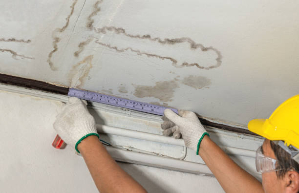 Reliable Water Damage Repair contractor in Gainesville, VA by Aqua Guard Water Damage
